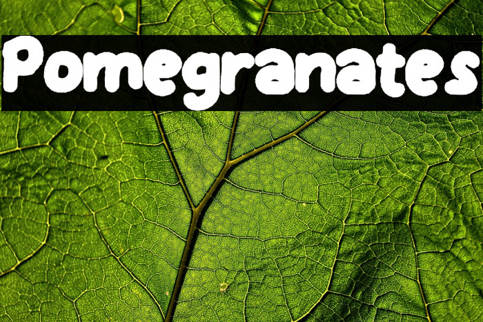Pomegranates Example 1
