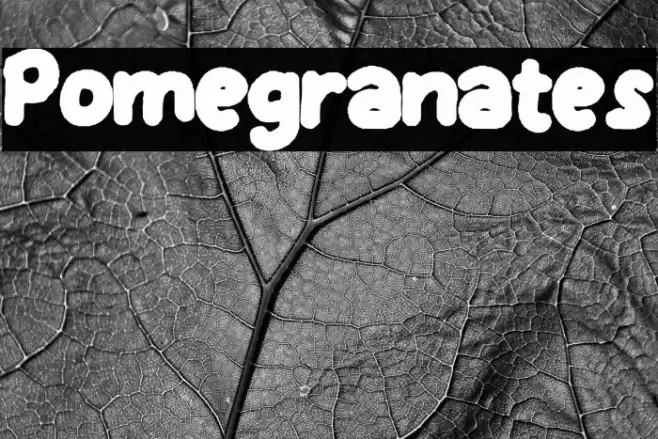 Pomegranates خط examples