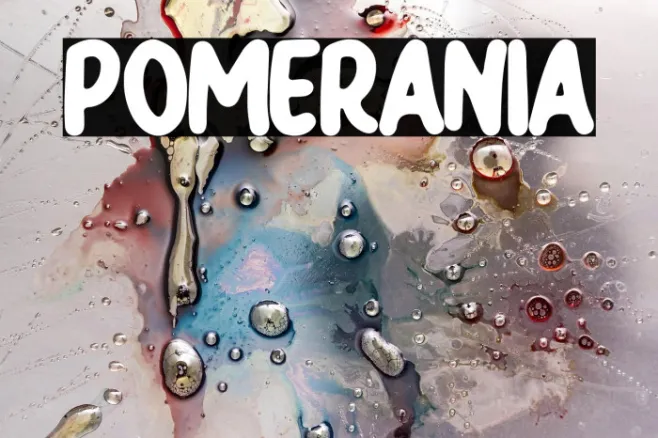 Pomerania Example 2