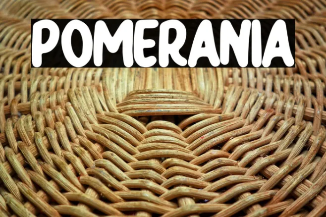Pomerania Example 3