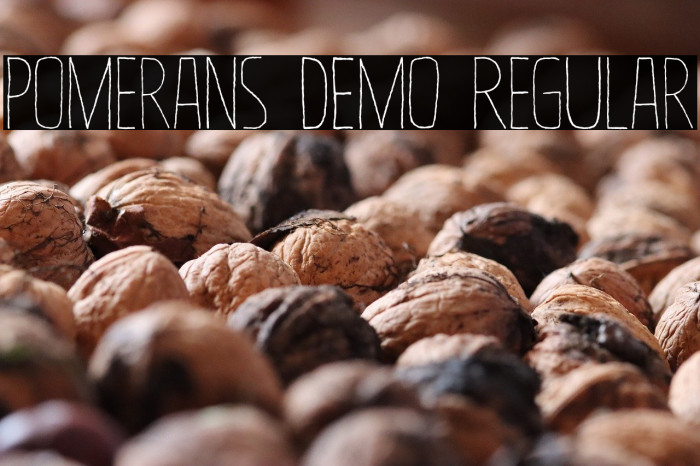 Pomerans DEMO Regular Example 1