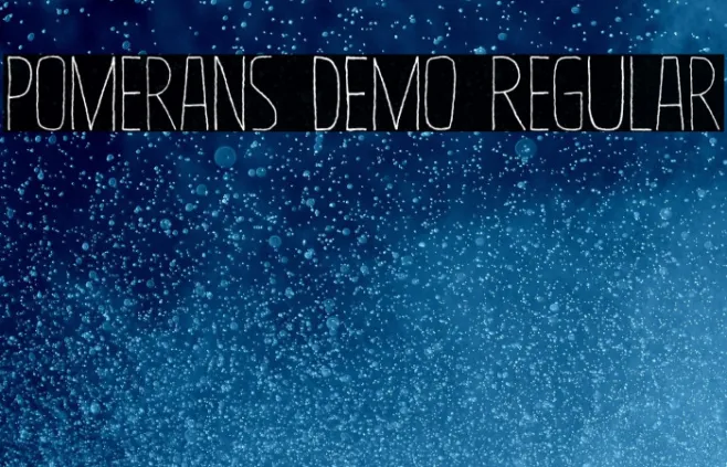 Pomerans DEMO Regular Example 2