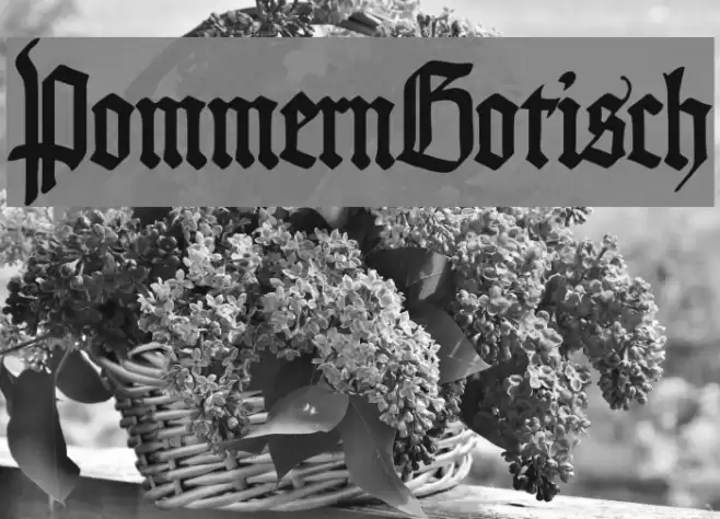 PommernGotisch Font examples