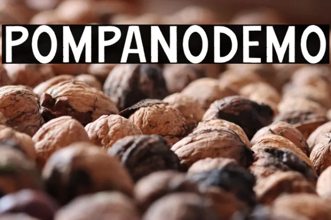 PompanoDEMO Example 1