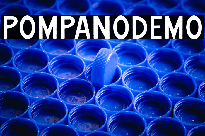 PompanoDEMO Example 2