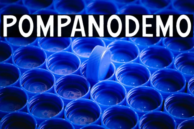 PompanoDEMO Example 2