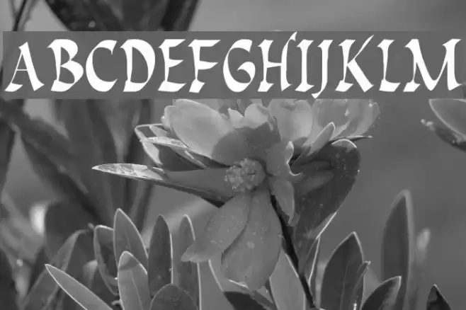 Pompeii Caps Font examples