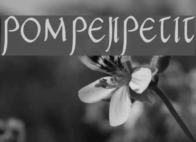 PompejiPetit Font examples