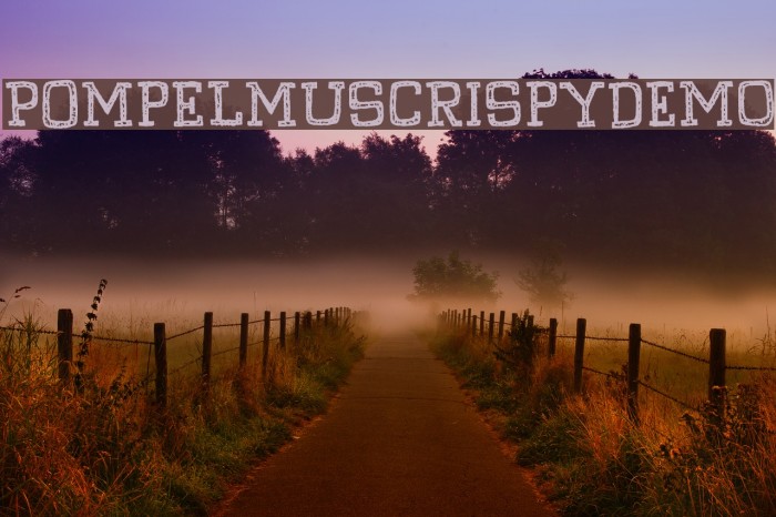 PompelmusCrispyDEMO Font examples
