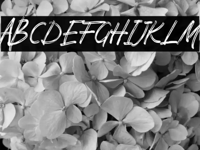 Pomthinq Font examples