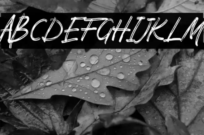 Pomthinq Font examples