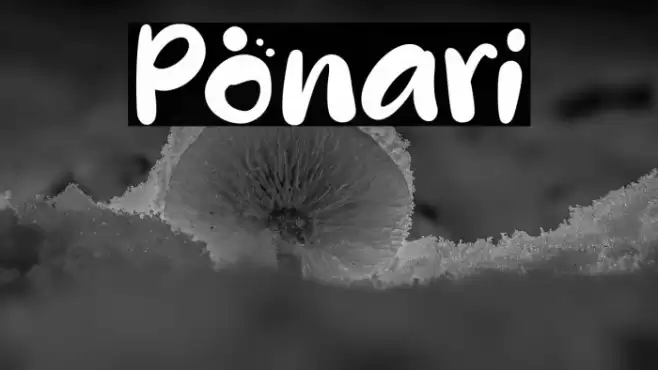 Ponari Font examples