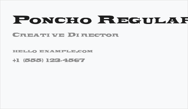 Poncho Regular Business Card