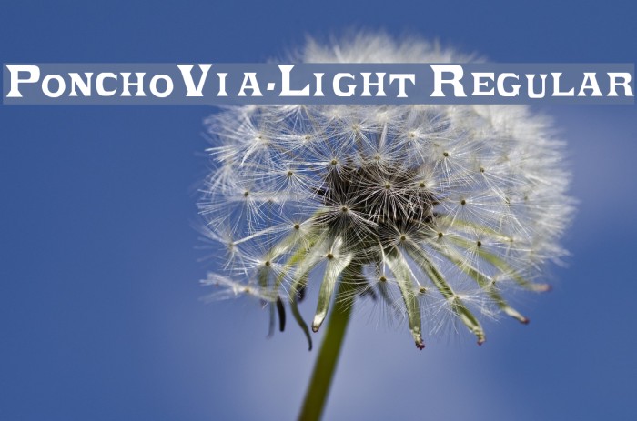 PonchoVia-Light Regular Font examples