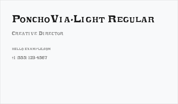 PonchoVia-Light Regular Business Card