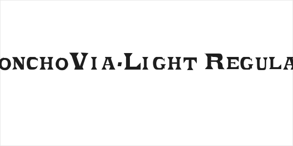 PonchoVia-Light Regular Logo