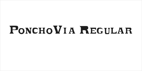 PonchoVia Regular Logo