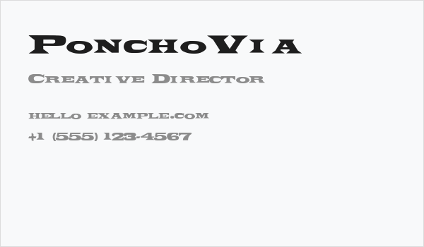 PonchoVia Business Card