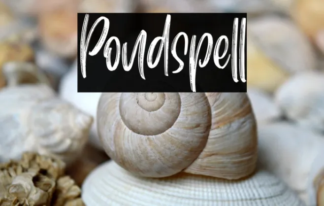 Pondspell Example 2