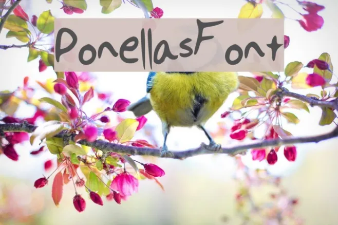 PonellasFont Example 2