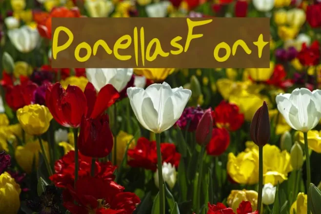 PonellasFont Example 3