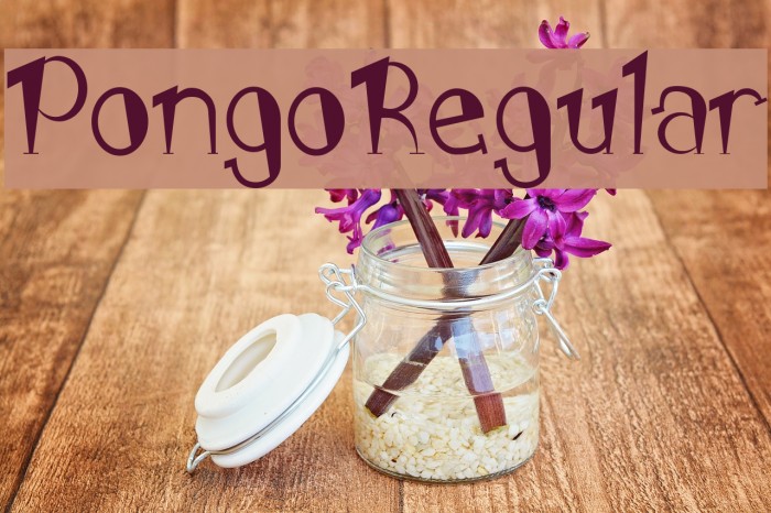 PongoRegular Font examples