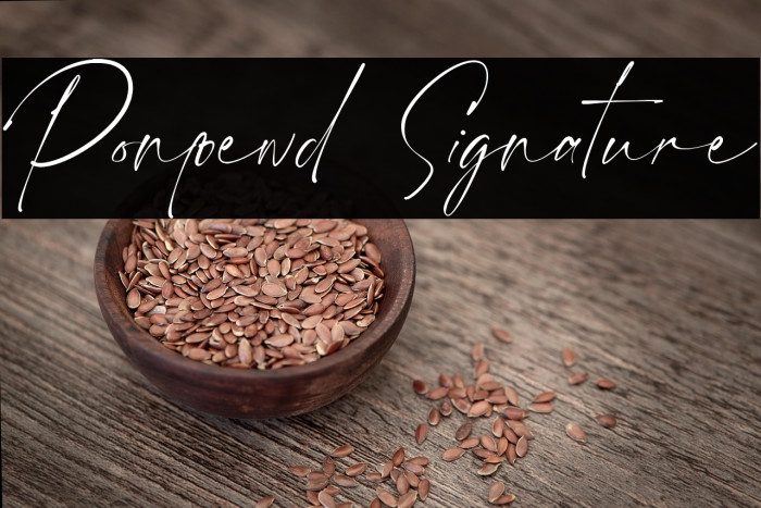 Ponpewd Signature Example 1