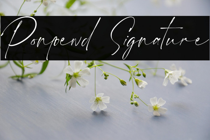 Ponpewd Signature Example 2