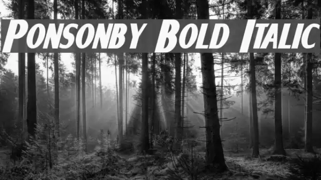 Ponsonby Bold Italic Font examples