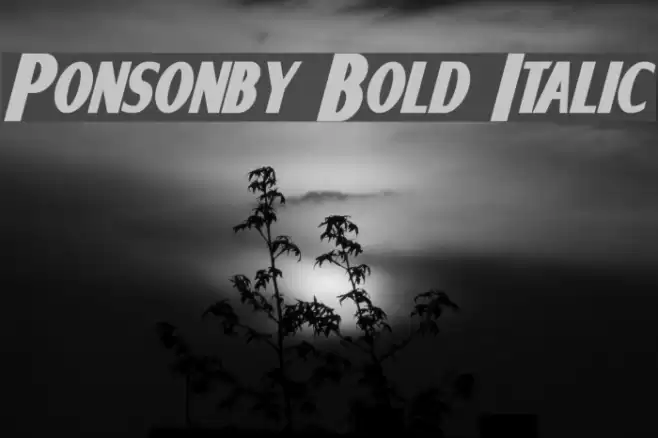 Ponsonby Bold Italic Font examples