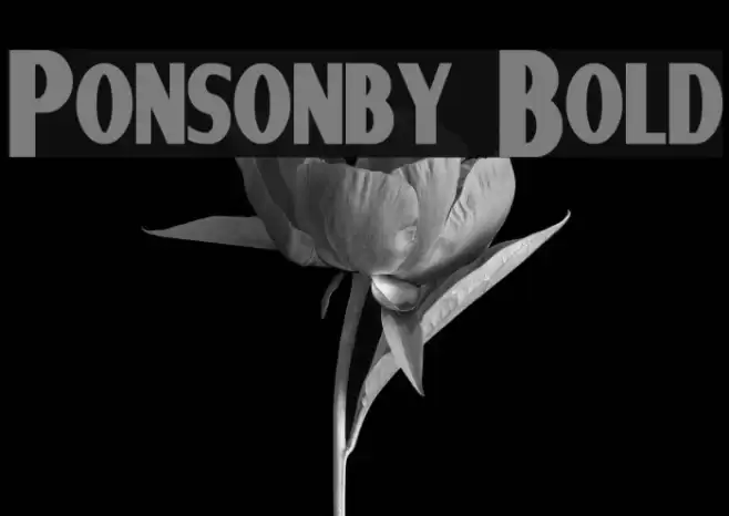 Ponsonby Bold Font examples