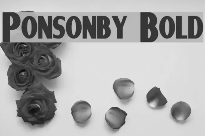 Ponsonby Bold Font examples