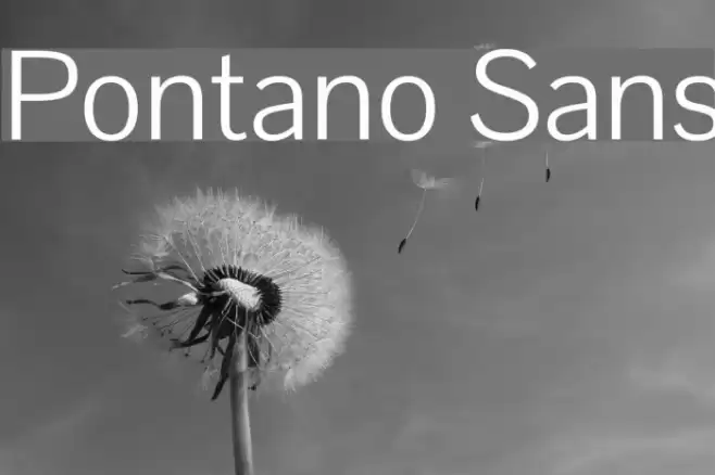 Pontano Sans Font examples