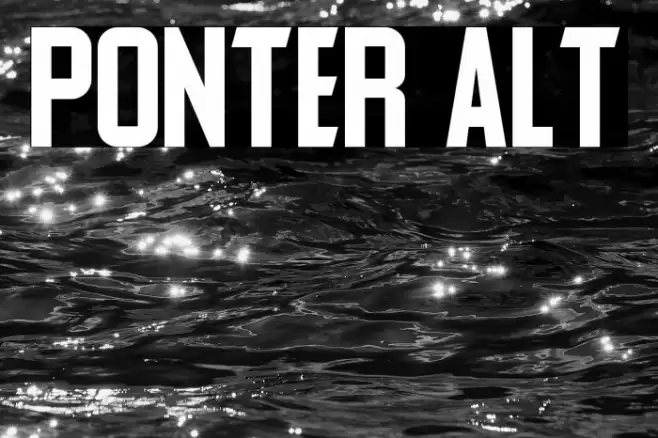 Ponter Alt Шрифта examples