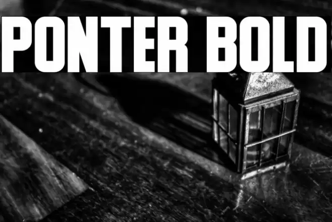 Ponter Bold Font examples