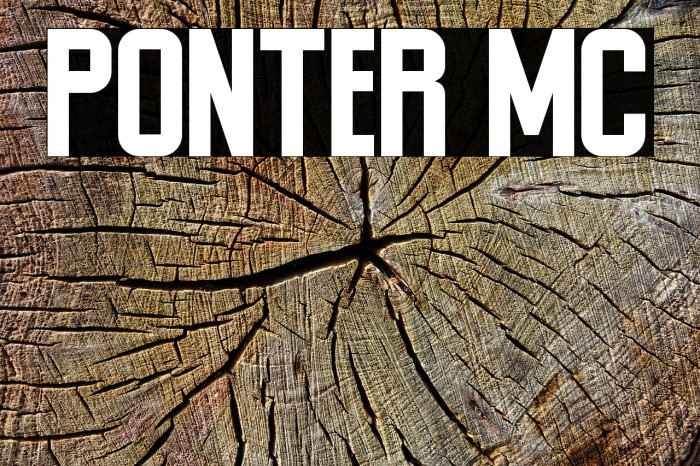 Ponter MC Font examples