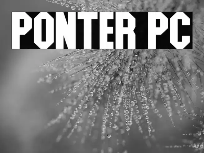 Ponter PC Font examples
