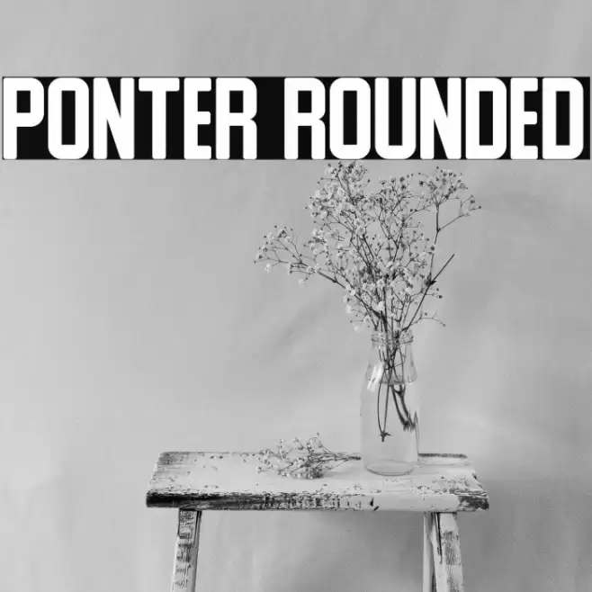 Ponter Rounded Fuentes examples