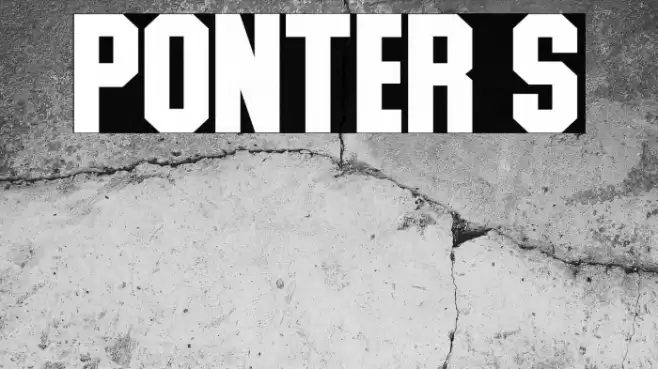 Ponter S Font examples