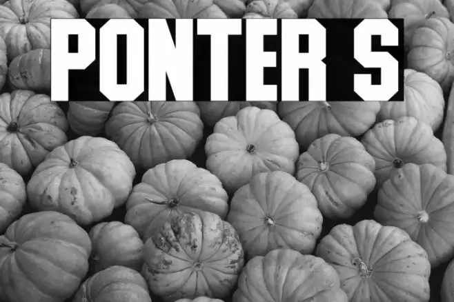 Ponter S Font examples