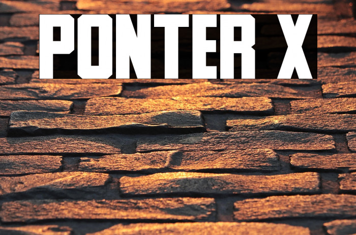 Ponter X Example 1