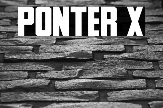 Ponter X Font examples
