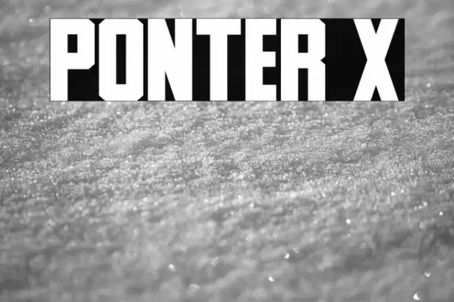 Ponter X Font examples