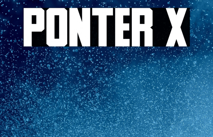 Ponter X Example 3