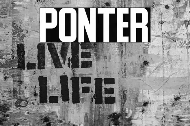 Ponter Caratteri examples