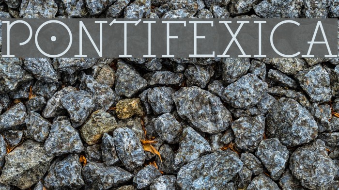 Pontifexica Font examples