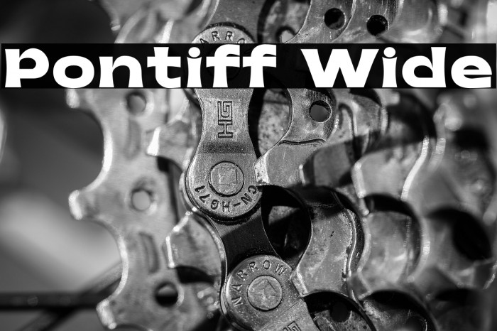 Pontiff Wide Example 1