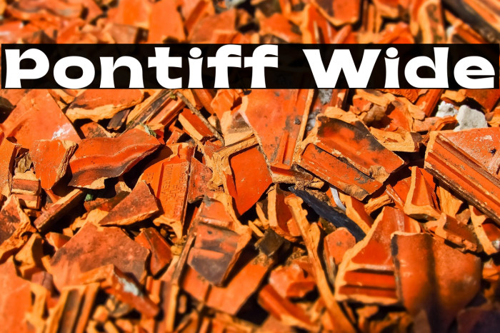 Pontiff Wide Example 2