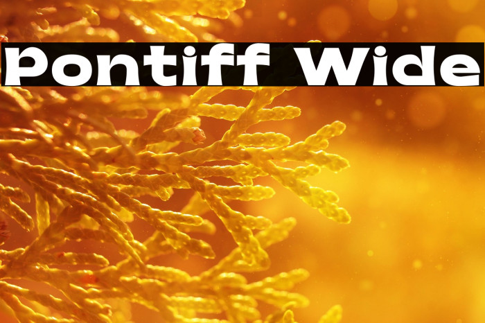 Pontiff Wide Example 3