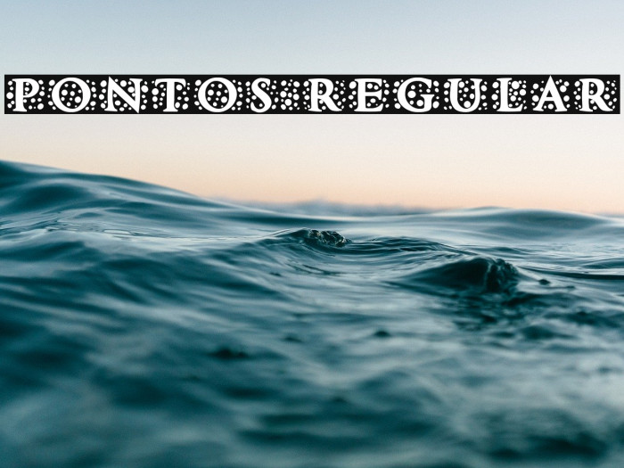 Pontos Regular Font examples